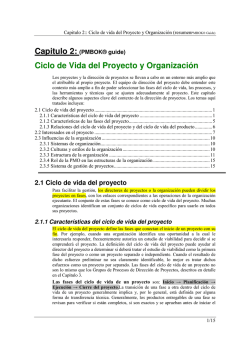 Ciclo de Vida del Proyecto y Organizaci&oacute;n