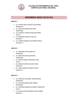 MIEMBROS MESA CR XV ICA - Colegio de Enfermeros del Per&uacute;