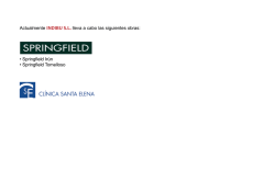 &bull; Springfield Ir&uacute;n &bull; Springfield Tomelloso Actualmente INDIBU S.L.