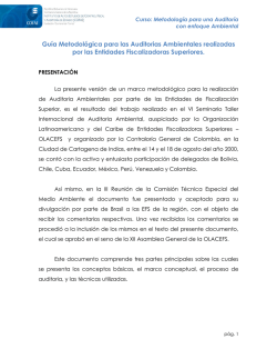 Gu&iacute;a Metodol&oacute;gica para las Auditor&iacute;as Ambiental