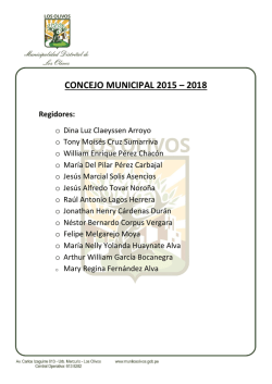 Consejo Municipal - Los Olivos