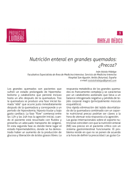 Texto completo (pdf)