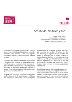 Texto completo (pdf)