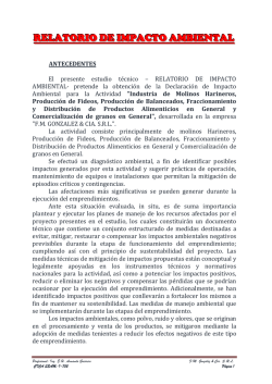 EXP. SEAM N&deg; 184725. Proyecto