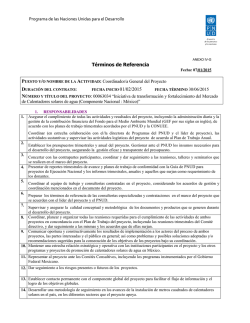 Coordinador/a General de Proyecto