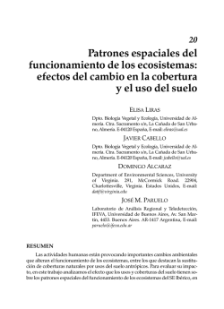 20 Patrones espaciales del funcionamiento de los