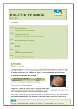 Bolet&iacute;n T&eacute;cnico - enero 2015