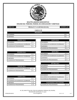 13 - Tribunal Federal de Conciliaci&oacute;n y Arbitraje