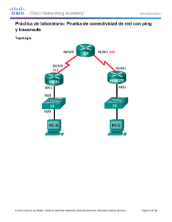 Pr&aacute;ctica de laboratorio: Prueba de conectividad de red con ping y