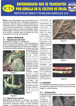 1. BACTERIAS