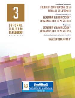 PRESIDENTE CONSTITUCIONAL DE LA REP&Uacute;BLICA