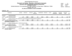 Ejecuci&oacute;n de Gastos - Reportes - Informaci&oacute;n Agregada Ejecucion