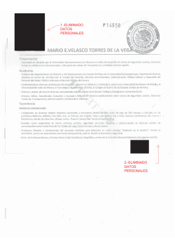 Mario Enrique Velasco Torres de la Vega