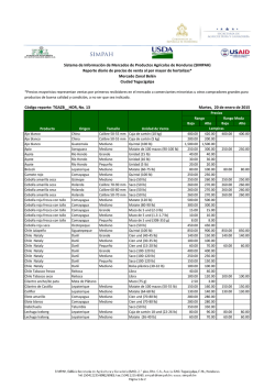 1.2. Reporte diario de precios de hortalizas, Zonal Bel&eacute;n