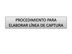 procedimiento para elaborar linea de captura