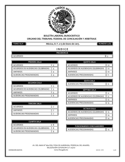 19 - Tribunal Federal de Conciliaci&oacute;n y Arbitraje