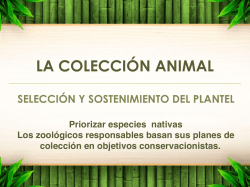 Descargar informativo en formato PDF