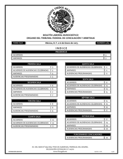 indice - Tribunal Federal de Conciliaci&oacute;n y Arbitraje