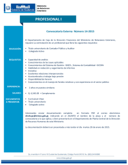PROFESIONAL I - Ministerio de Relaciones Exteriores