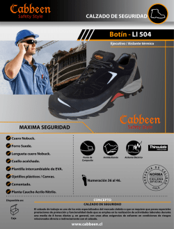 Bot&iacute;n - LI 504