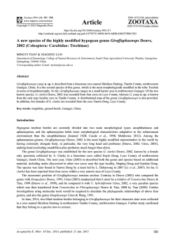 Preview - Magnolia Press