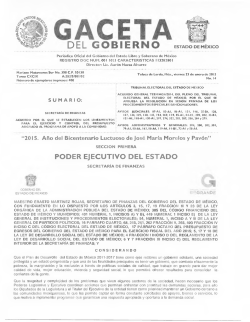 Acuerdo por el que se establecen los Lineamientos para el Ejercicio