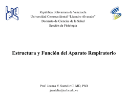 Estructura y Funci&oacute;n del Aparato Respiratorio