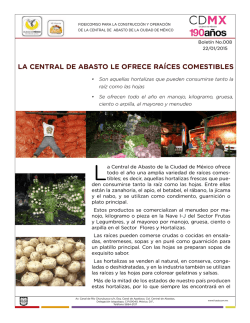 &iexcl;Conoce y consume las ra&iacute;ce