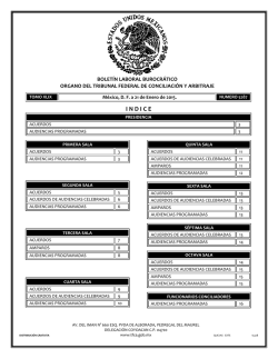 21 - Tribunal Federal de Conciliaci&oacute;n y Arbitraje