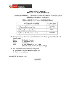 convocatoria_207_ 2014_minam_eval_tec