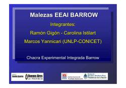 INTA -Chacra Barrow