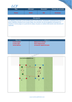 1 Tipo Dificultad Intensidad Tiempo de ejecuci&oacute;n Descripci&oacute;n