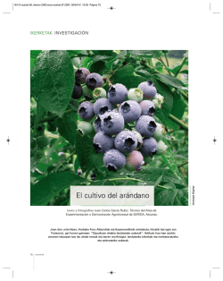 El cultivo del ar&aacute;ndano