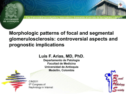 FSGS - Collapsing Variant