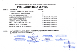 evaluacion hoja de vida item xii vigilancia