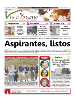 Descargar PDF - El Visto Bueno