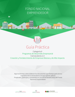 Descargar gu&iacute;a de requisitos