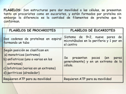 02b. Estructura microbiana