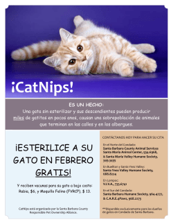 &iexcl;CatNips!