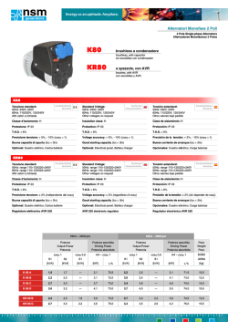 Alternatori Monofase 2 Poli