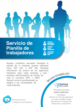 brochure proveedores planilla web