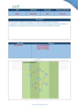 1 Tipo Dificultad Intensidad Tiempo de ejecuci&oacute;n Descripci&oacute;n