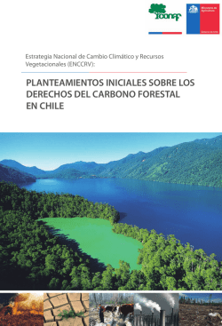 Derechos del Carbono Forestal