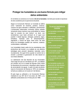 Proteger los humedales es una buena f&oacute;rmula para mitigar da&ntilde;os