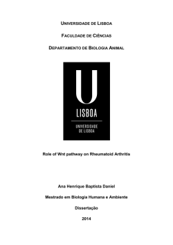 Role of Wnt pathway on Rheumatoid Arthritis Ana Henrique Baptista
