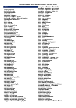 Letra A Abelia chinensis Abelia floribunda Abelia