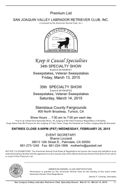 Premium - Sharon Licciardi