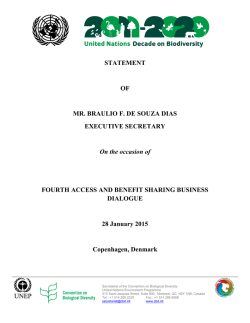 Statement of Mr. Braulio F. de Souza Dias, CBD Executive Secretary