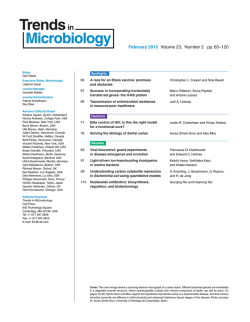 Editorial Board and Contents