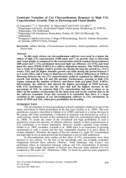 Genotypic Variation of Cut Chrysanthemum Response to High CO2